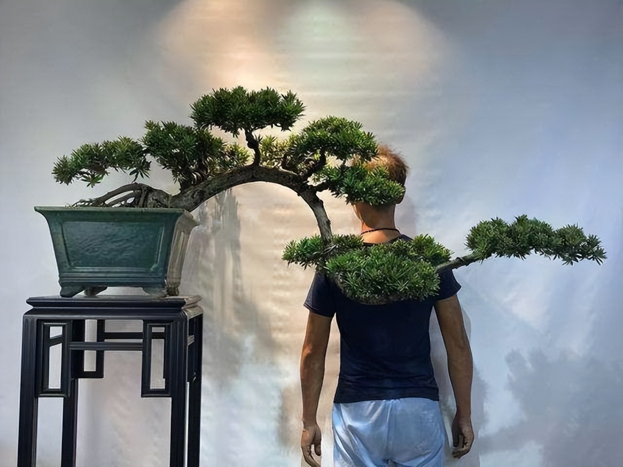 十八罗汉稀有价值,寿命最长的罗汉鱼