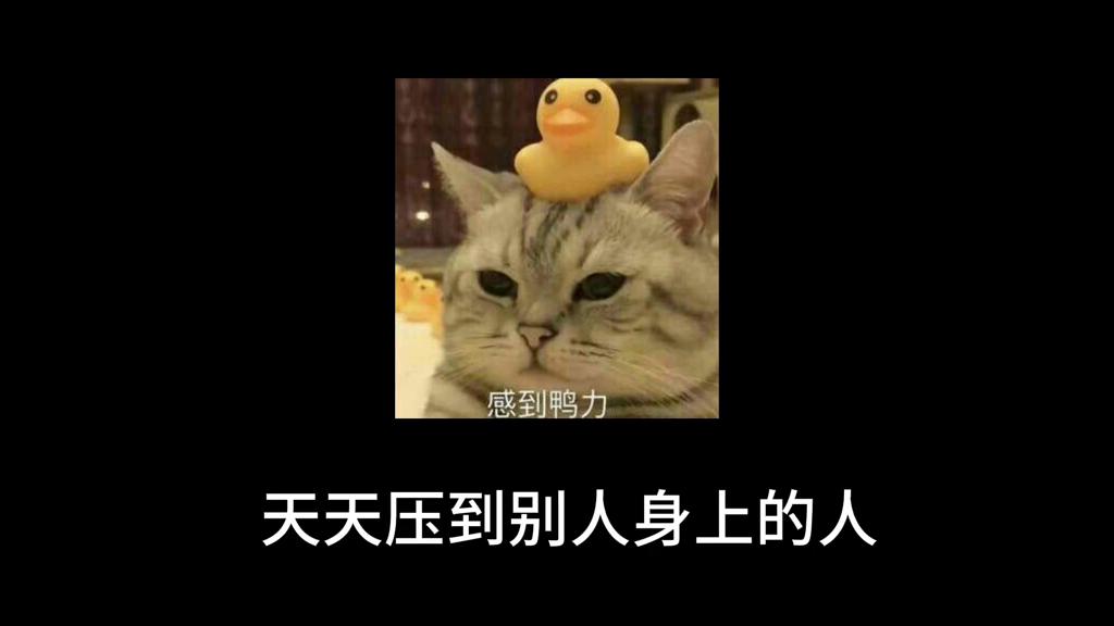 作为年轻教师应该如何处理自己的在校人际关系，很通透了。