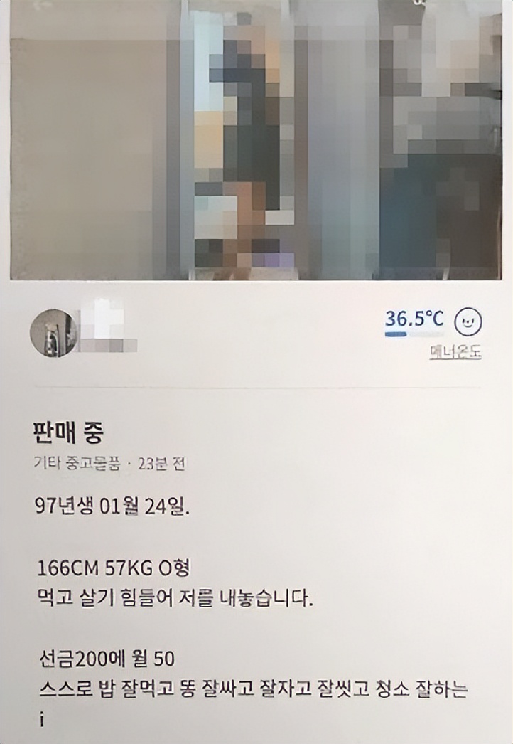 韩网标价售卖婴儿、女性、残疾人！发布22万个儿童色情视频无人管