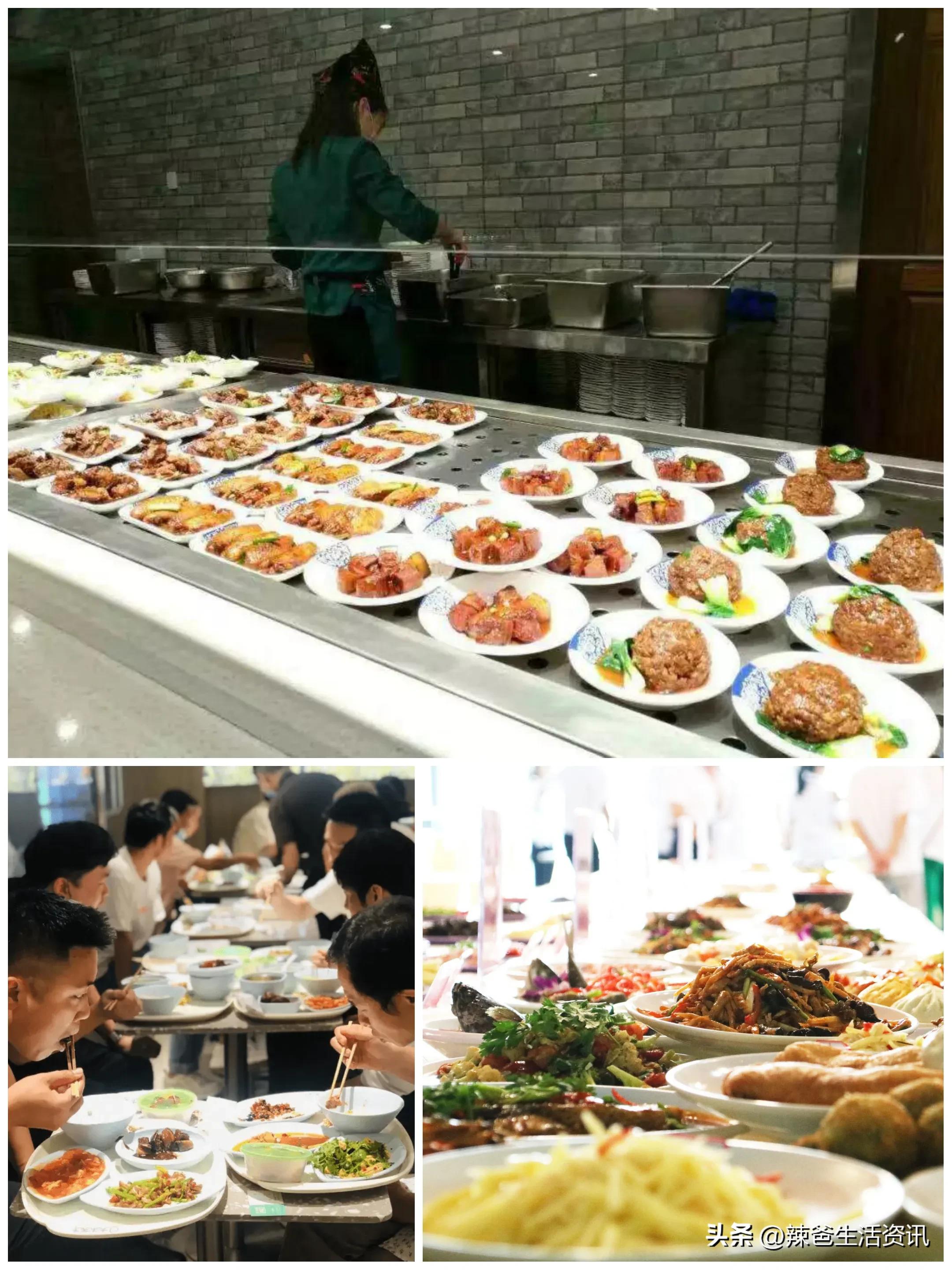 预制菜爆红出圈到底什么是预制菜,预制菜满天飞