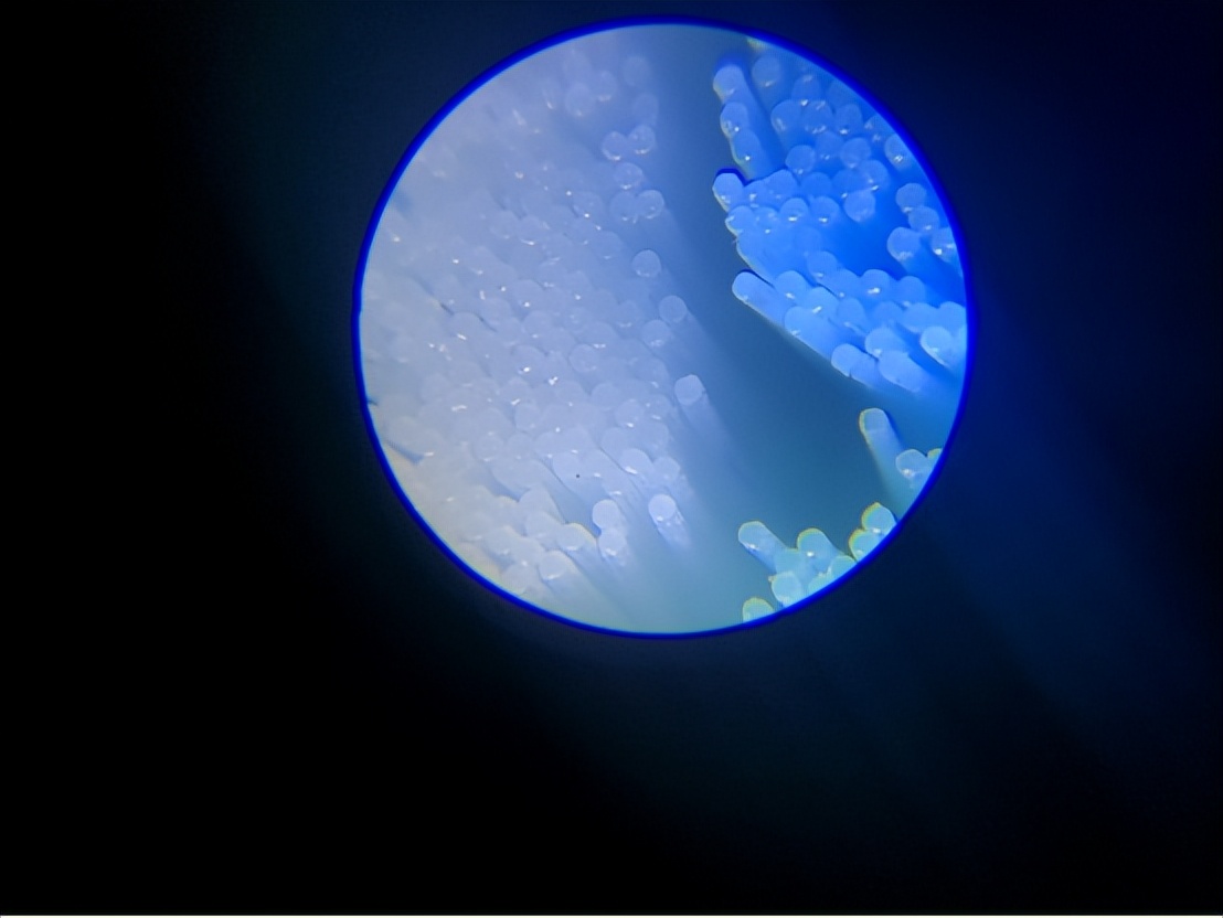 飞利浦usmile电动牙刷测评,电动牙刷推荐欧乐b