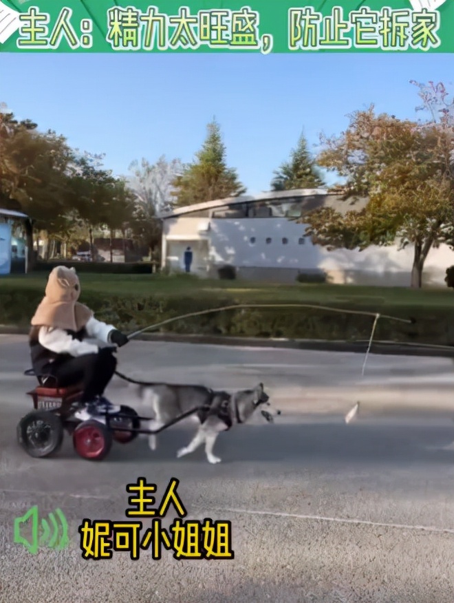 家庭监控下的一幕真实视频完整版,家庭监控下的真实一幕