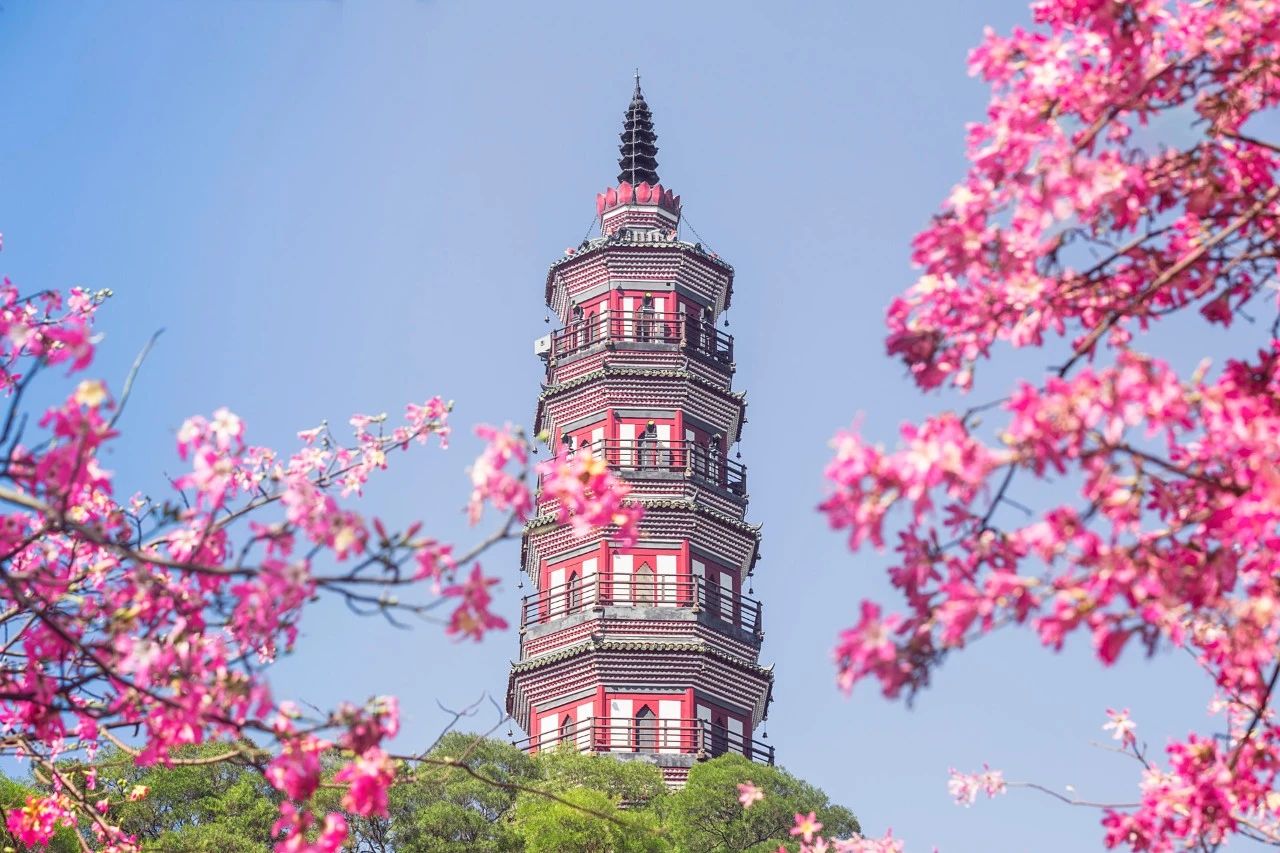 关于春分的诗词精选16首,6首最美春分诗词