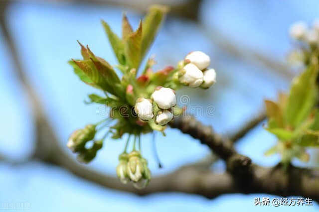 额头皱纹产生的原理是什么？