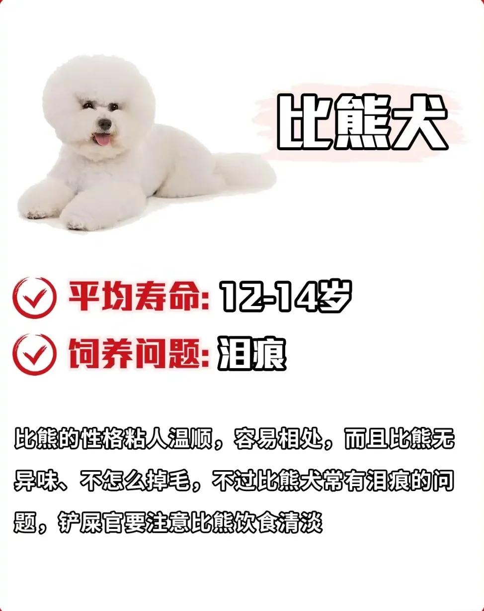 狗狗库欣氏病寿命,泰迪狗狗寿命一览表