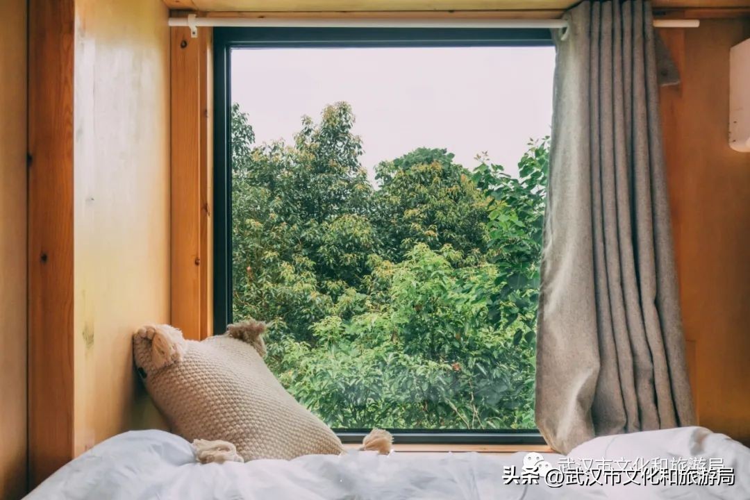 武汉夏天凉快的游玩地方,武汉凉快又免费的景点