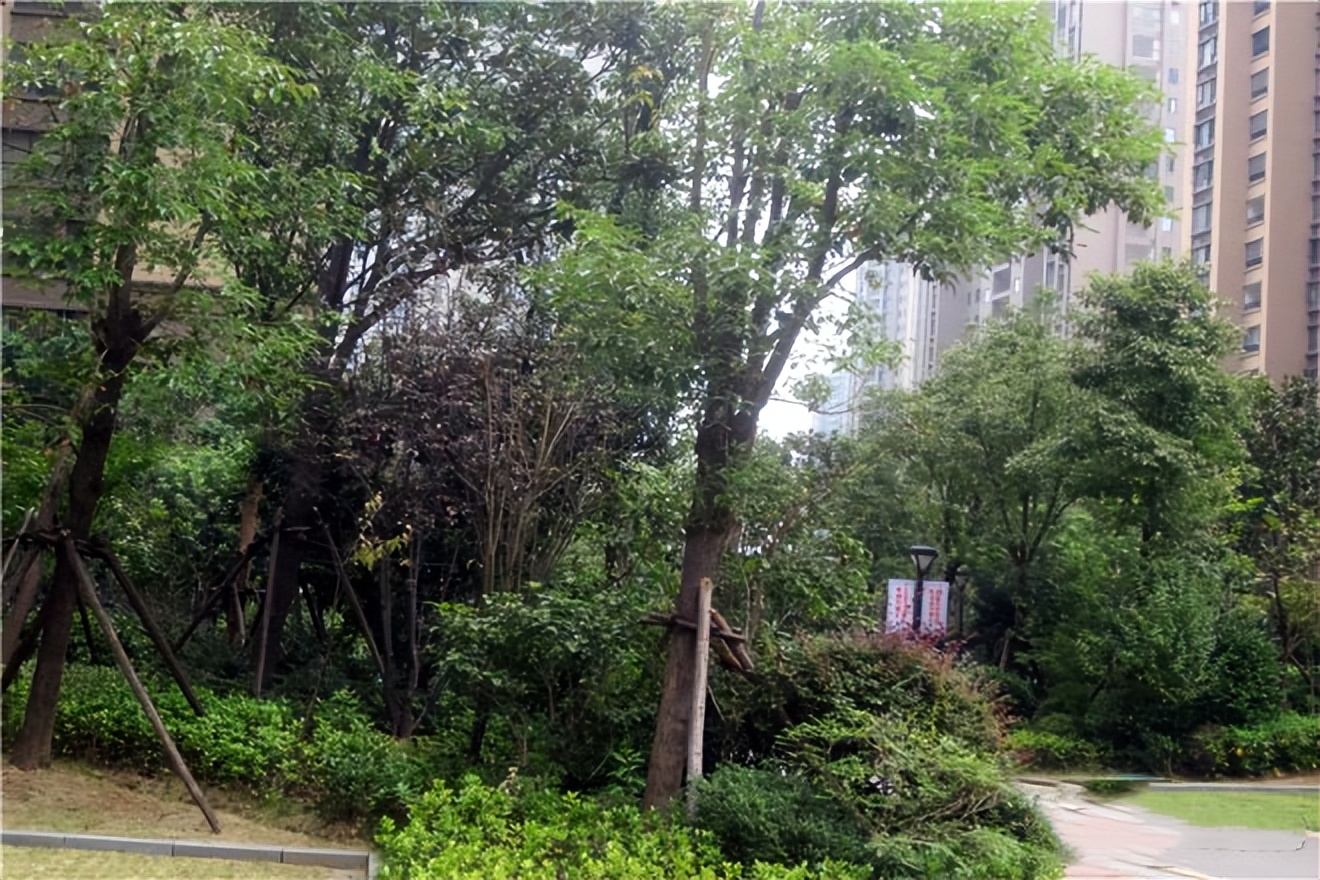 长沙华润凤凰城紫云府户型图,星沙华润凤凰城楼王出售