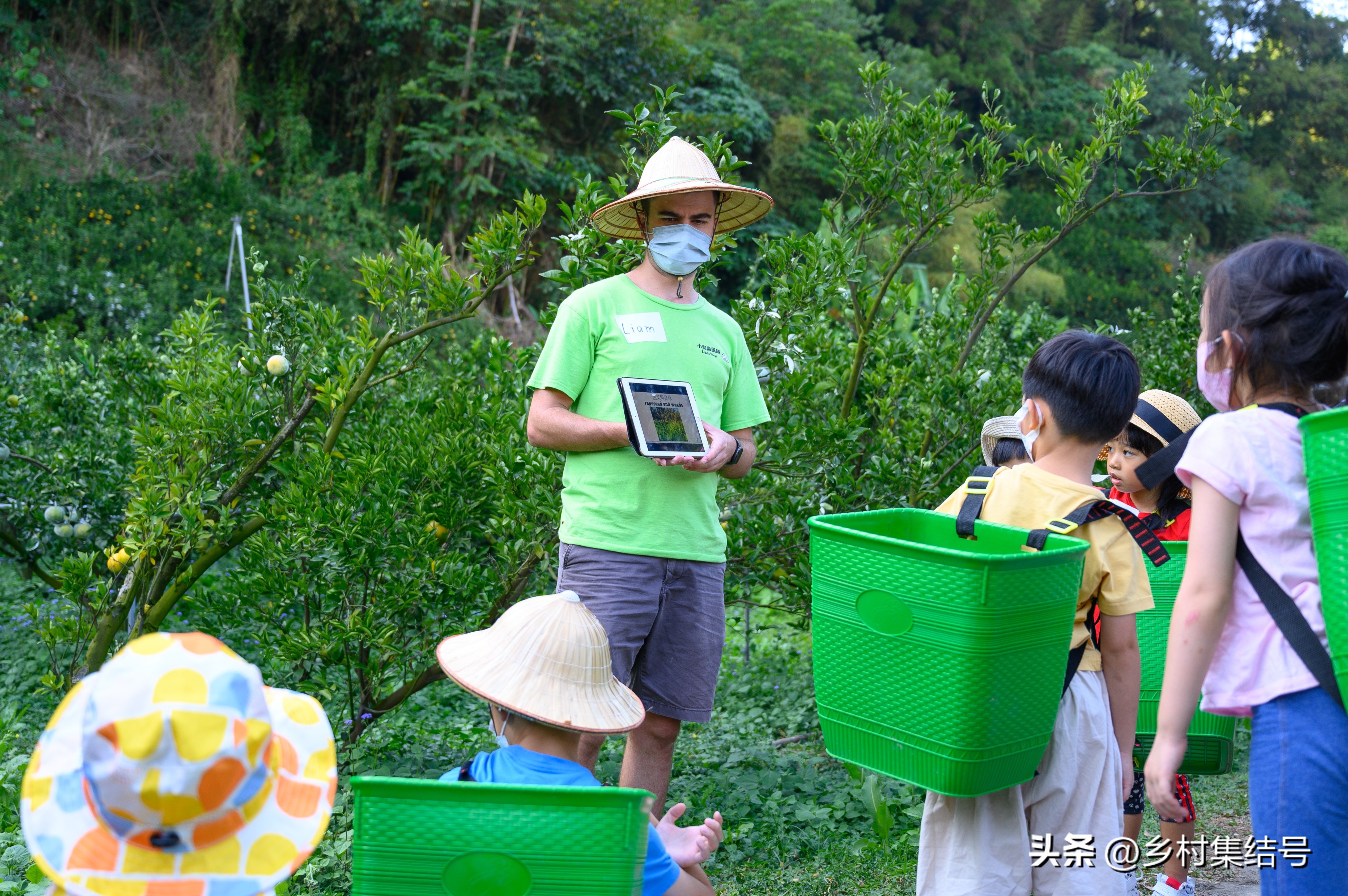 台湾小瓢虫农场,台湾小瓢虫