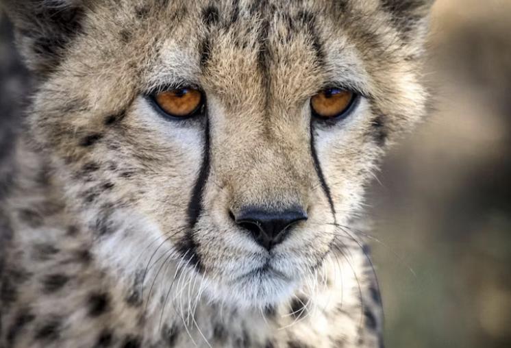 穷人的八大特征需要改变,穷人的特质你占了几条