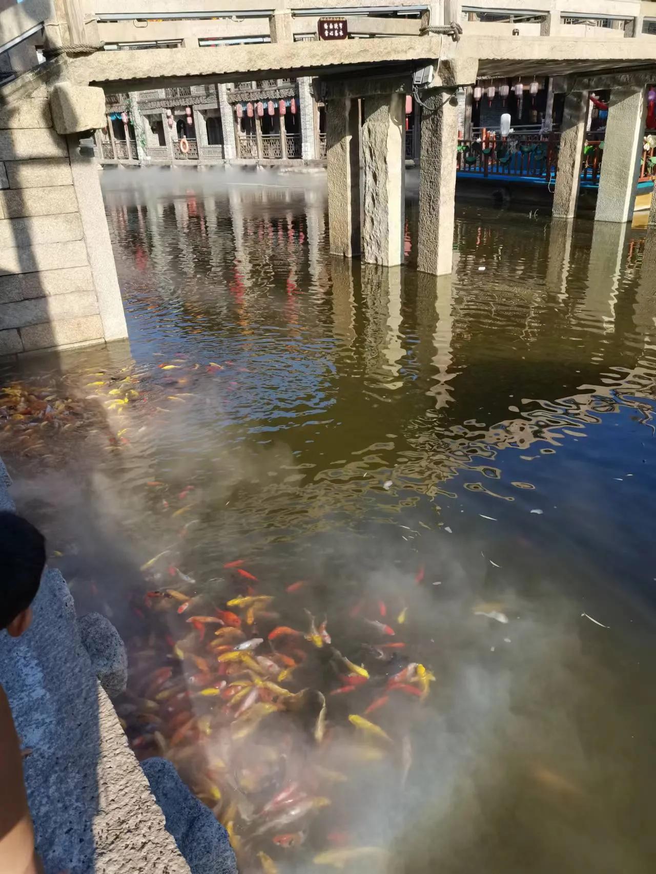 石家庄龙泉古镇vs德明古镇,石家庄龙泉古镇旅游情况