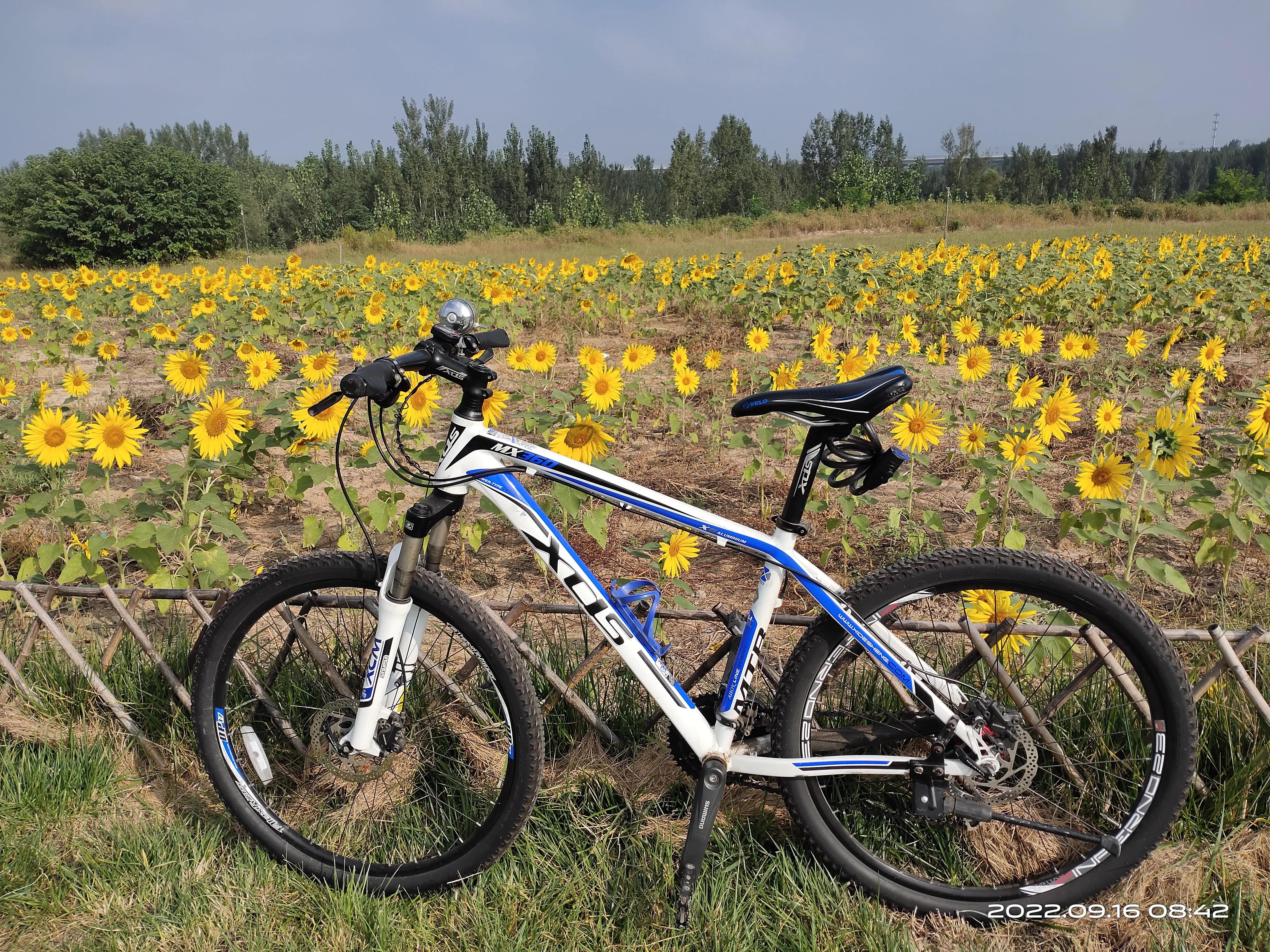 闲鱼上的二手山地车,闲鱼上100元的二手山地车值得买吗