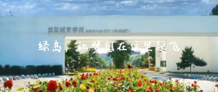 沈阳城市学院2024年招生章程,沈阳城市学院招生简章2024