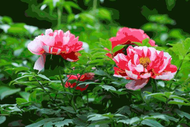 菏泽最好的商场在哪里,菏泽排名前十的购物广场