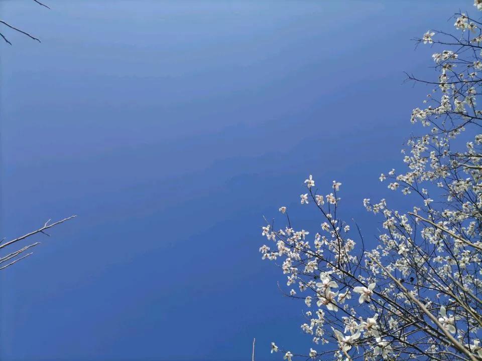 蛋白质在内分泌的意义,分泌蛋白结构和功能的联系