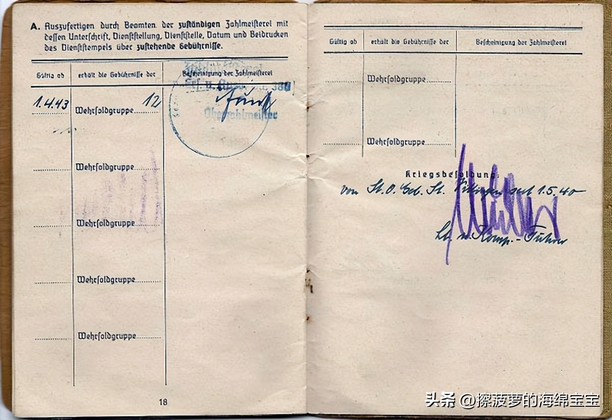 二战时德国军人的肩章,二战德国兵种领章