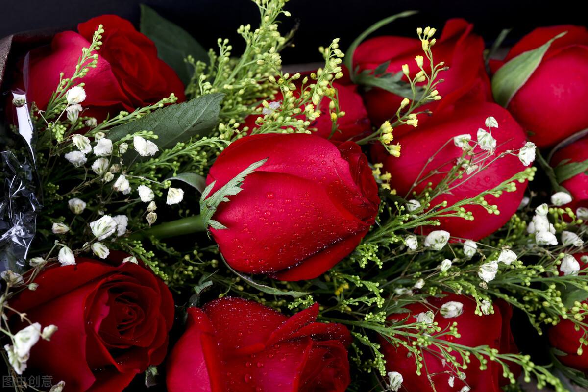 玫瑰花的各种颜色的花语和寓意,各种颜色的玫瑰花花语大全