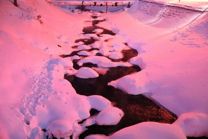 雪乡还有人去挨宰吗,去雪乡不参团