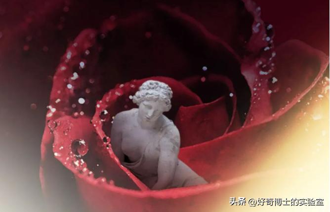 为什么女生来月经之前很容易生气,为什么女生来月经情绪总是爆发