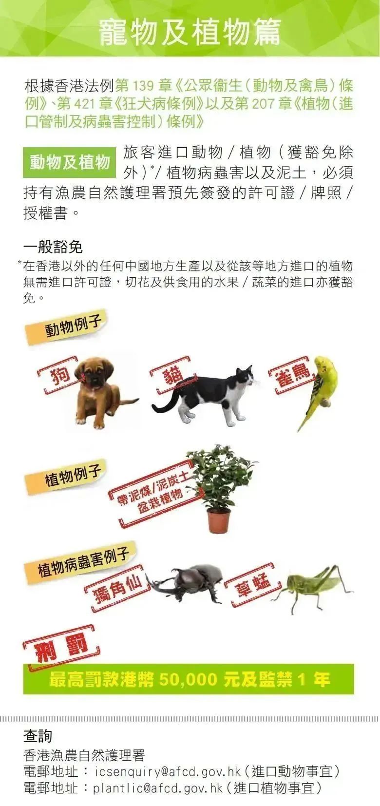 去香港旅游被罚款,入境香港带烟被罚