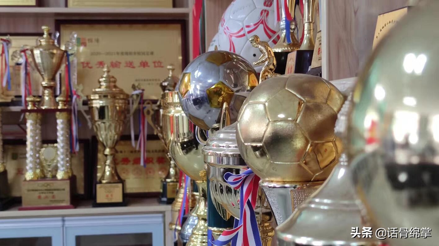 张琳艳父母被表彰,张琳艳家乡看女足夺冠