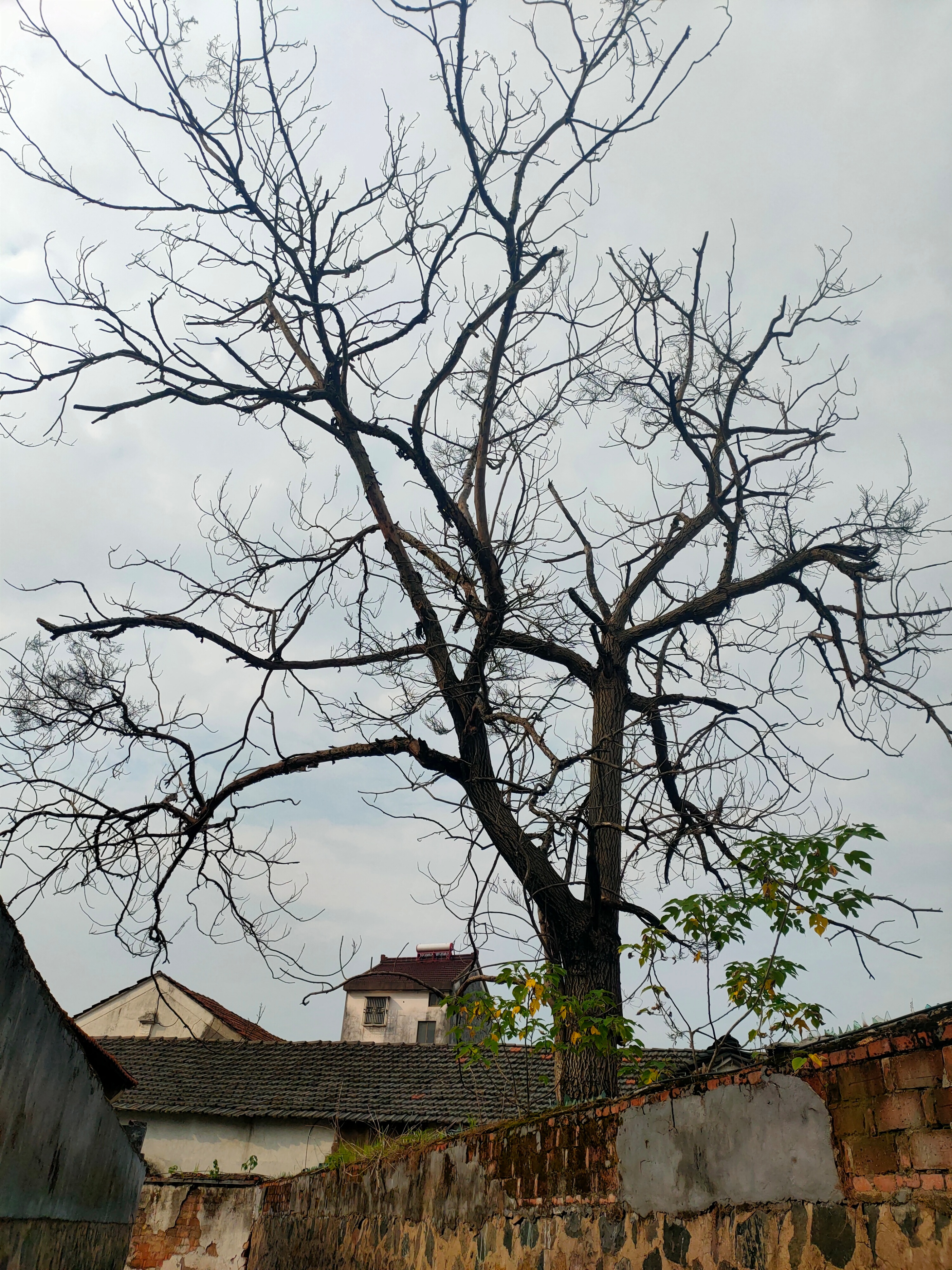 品味千年老街的悠长古韵,品味千年古镇别样风情