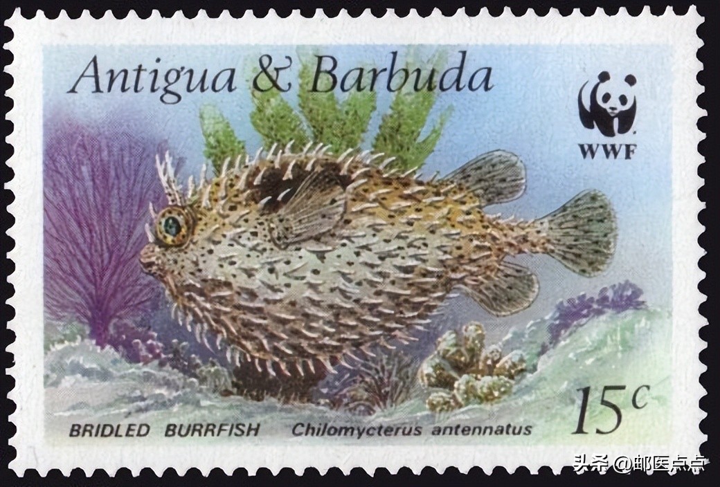 全球保护濒危动物邮票,十二种濒危物种邮票