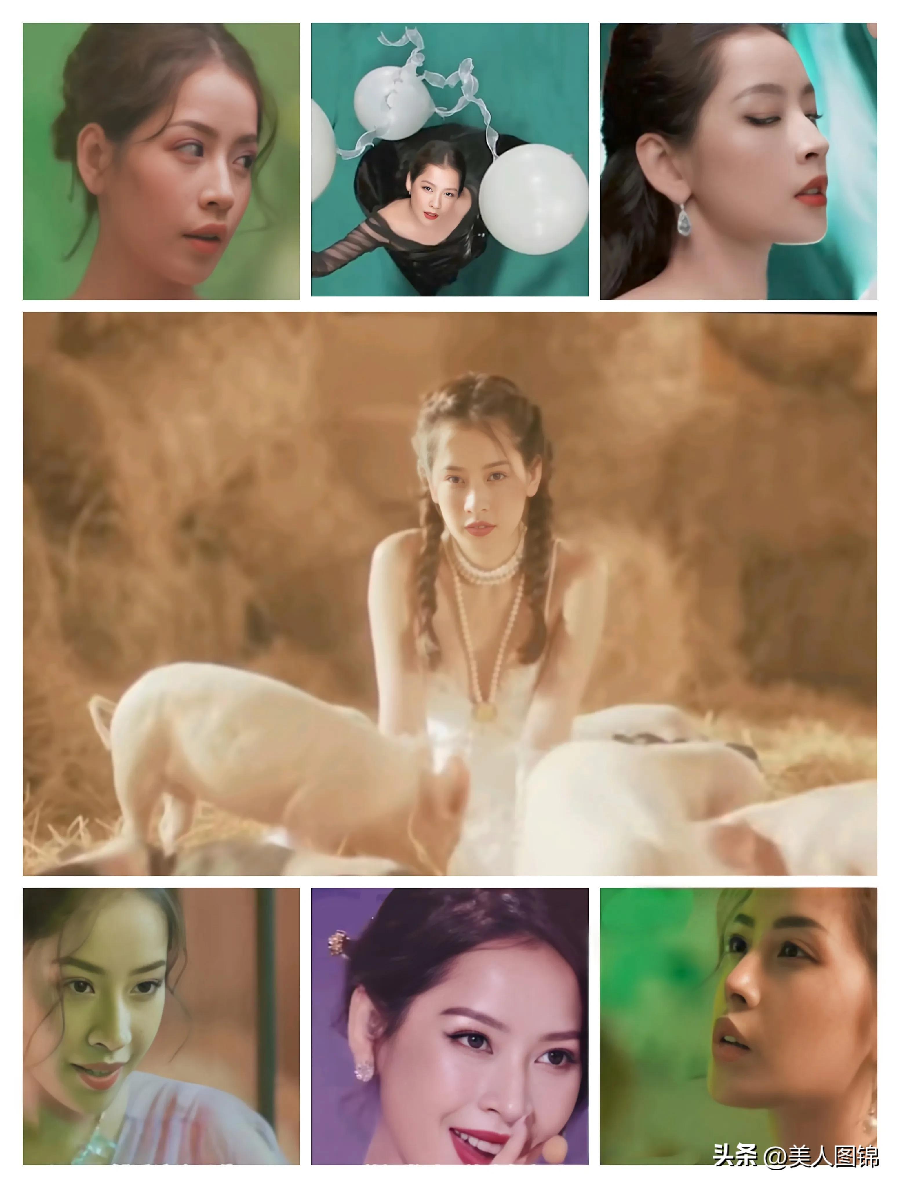 越南芝芙,芝芙越南