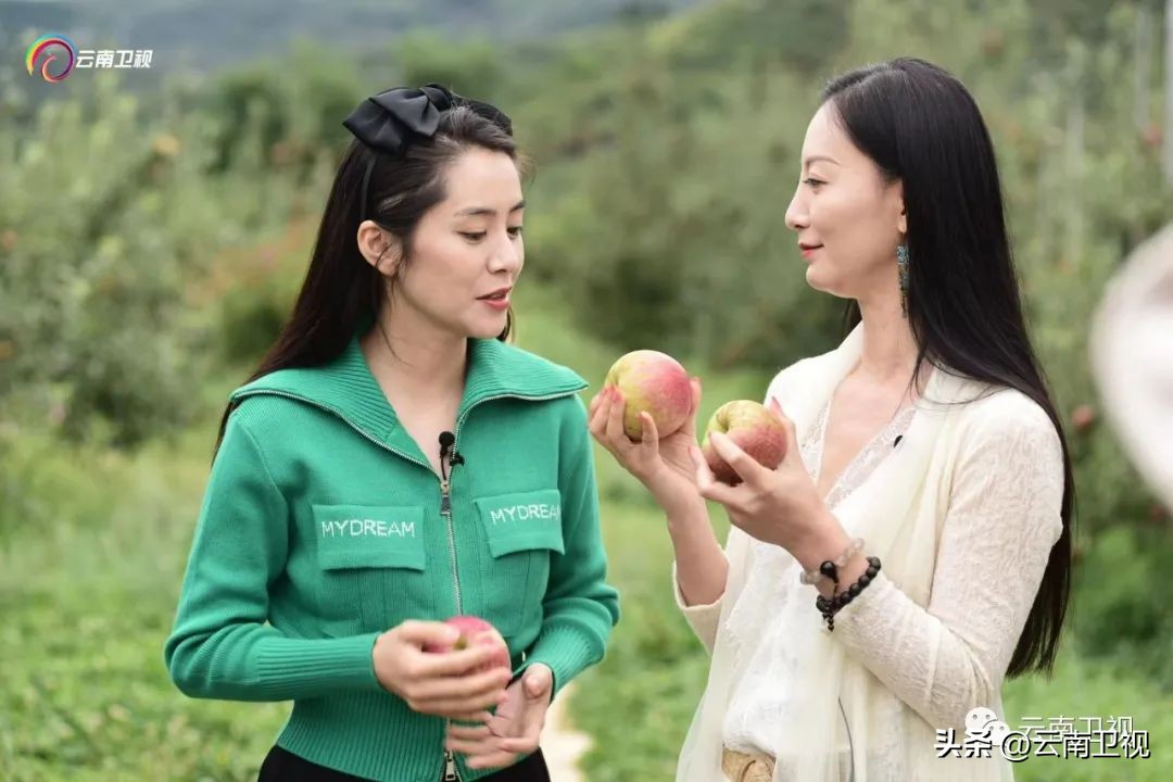 穿在身上的乌蒙磅礴｜《丝路云裳盛装中国》云南卫视今晚21:06播出