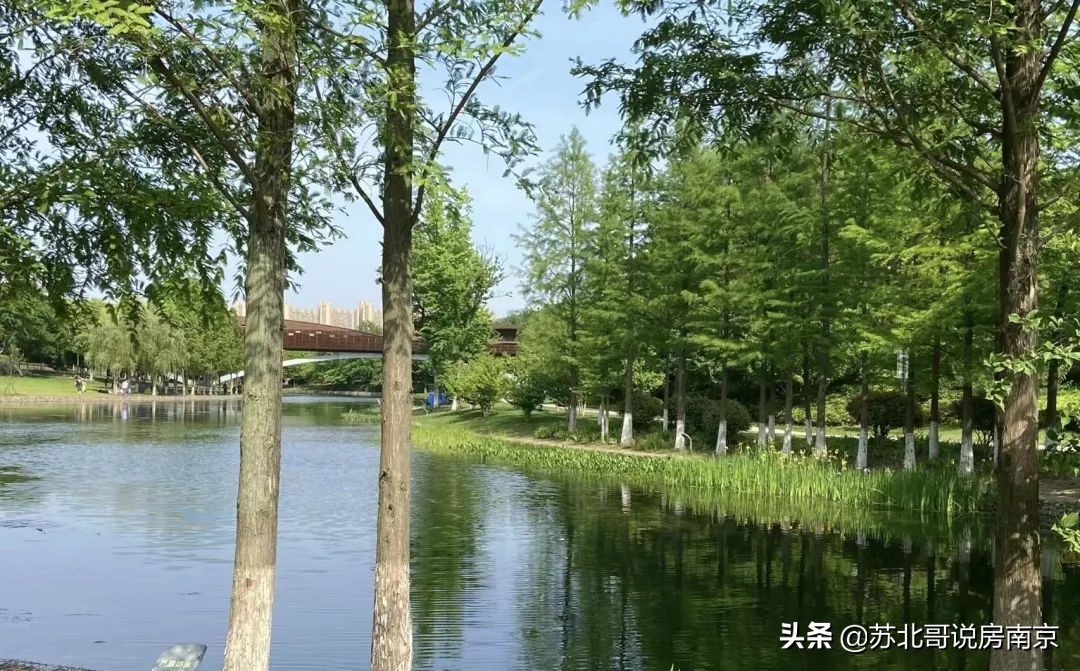 河西金鼎湾和禧,金鼎湾和禧样板房