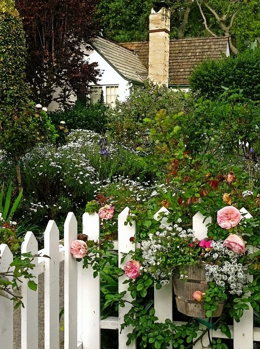 室内景观设计，让心静下来，让生活慢下来