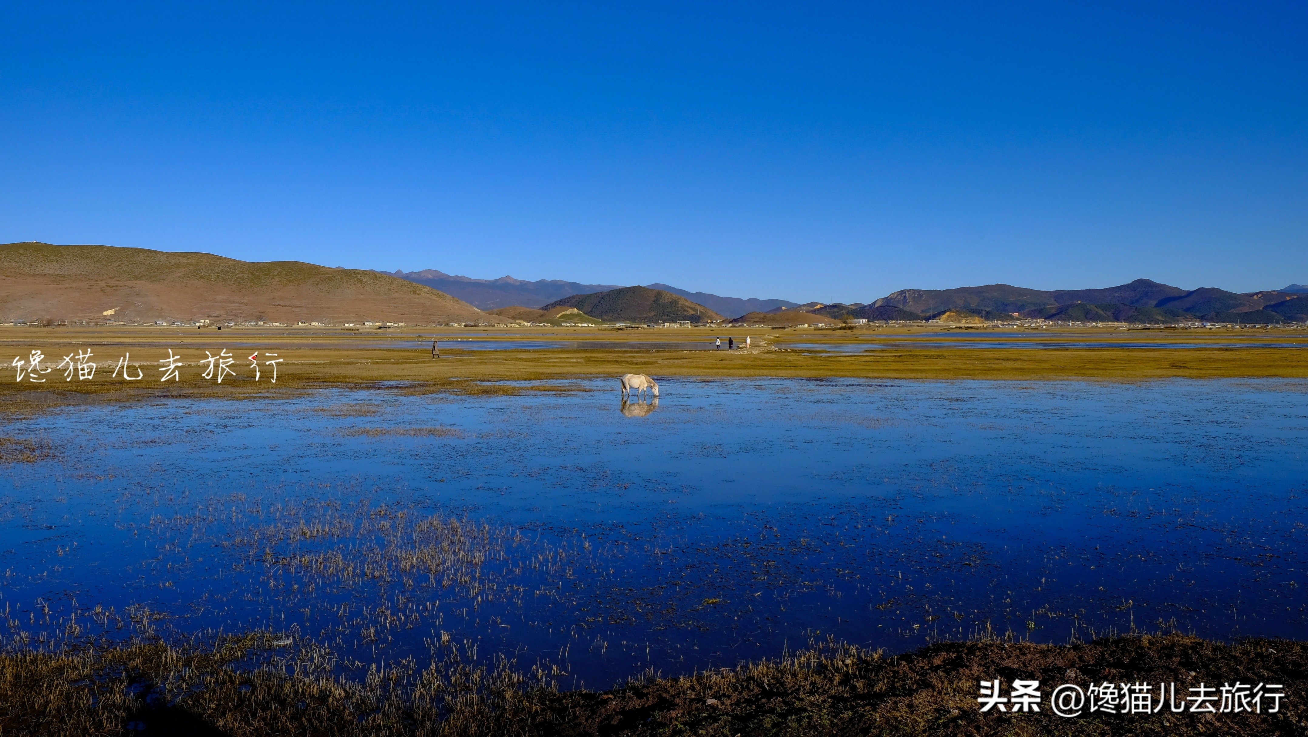 去了云南丽江却没有去香格里拉?香格里拉的景色独步国内而且多样