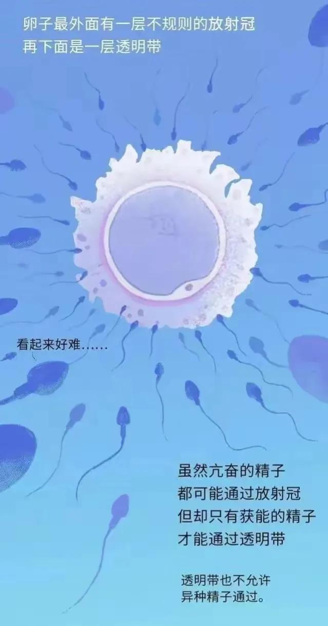 绮惧瓙杩涘叆浜轰綋24灏忔椂鍙樺寲,绮惧瓙杩涘叆浜轰綋1灏忔椂鍙樺寲