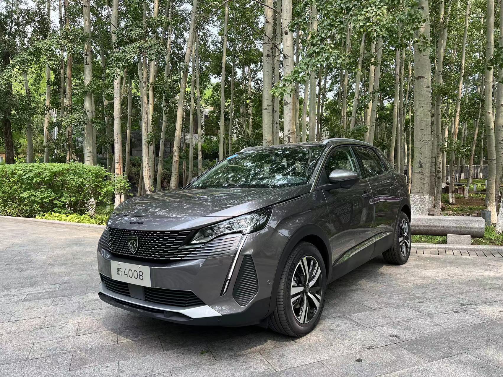 盾牌黑底狮子的车标,盾牌狮身车标