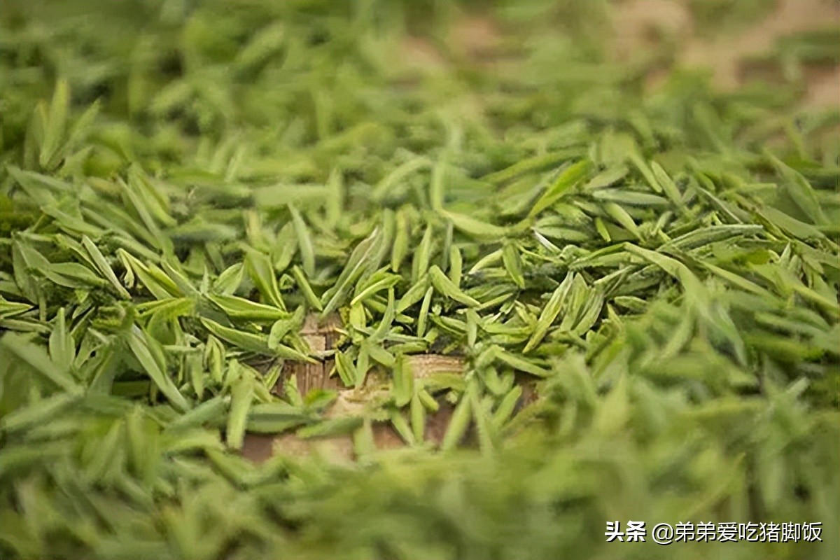 上等七佛贡茶,青川七佛贡茶