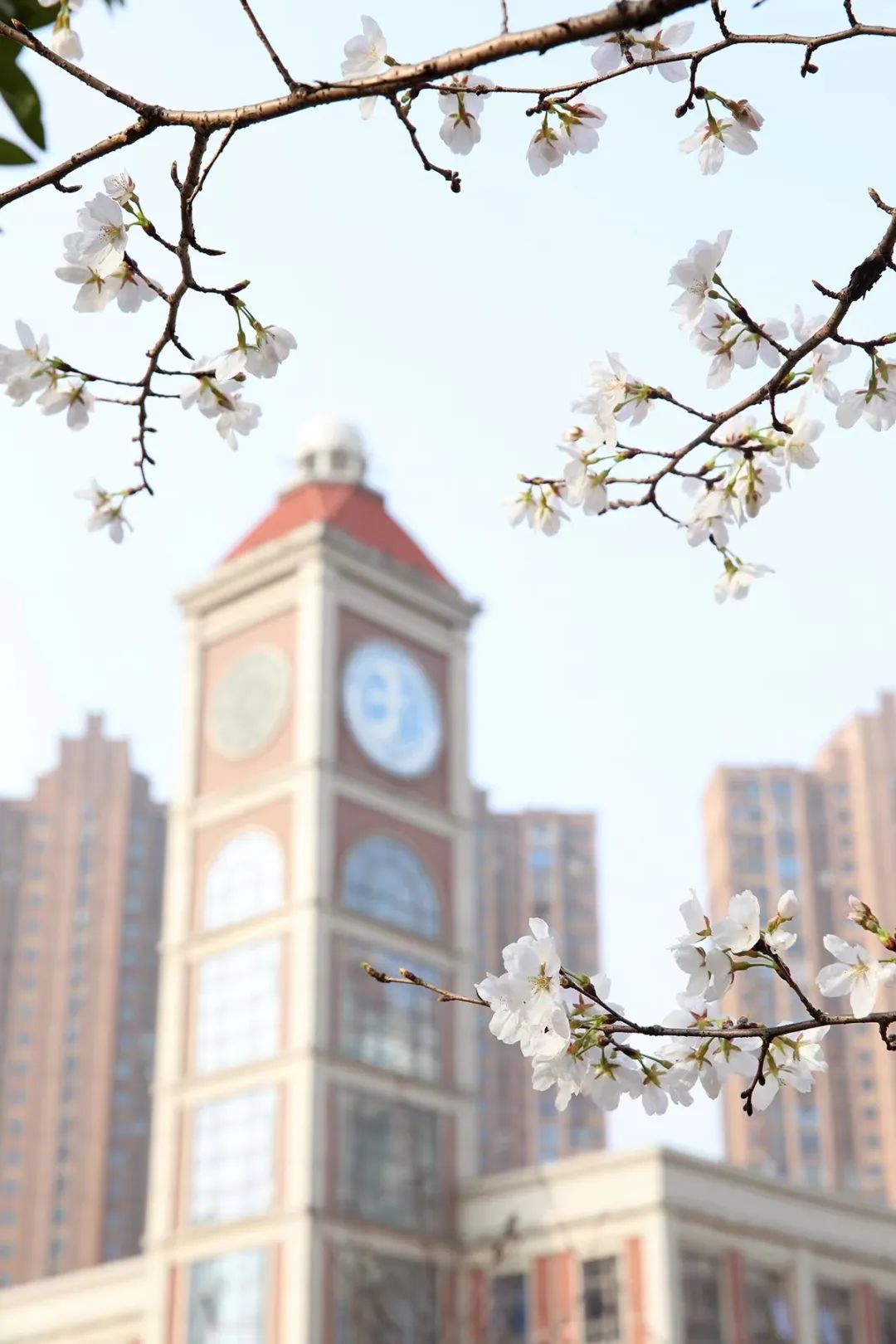 南昌市第三医院朝阳院区成立时间,南昌第三医院朝阳院区是公立医院