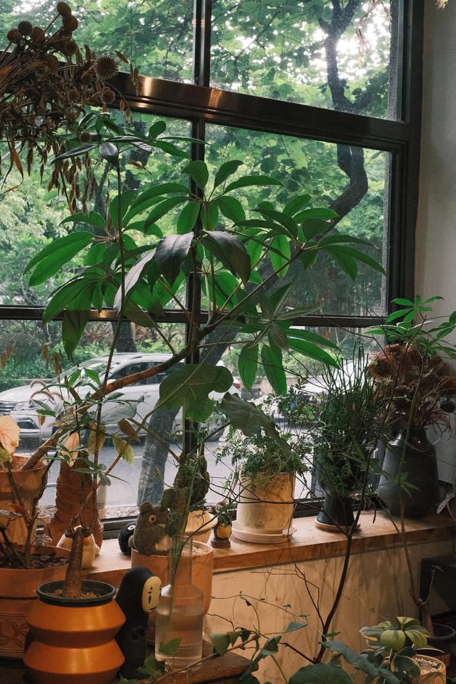 佛山70后老板打造300平书店弧形落地窗美翻了