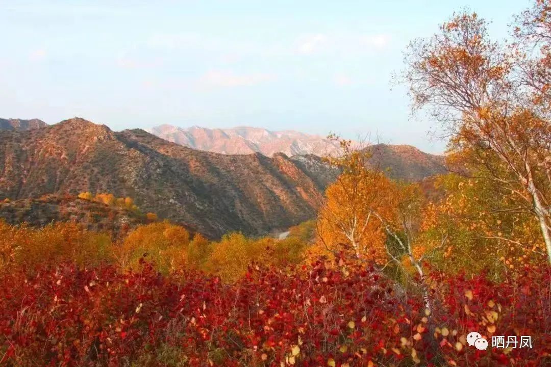 东行漫记长篇纪实,闫涛的东行漫记