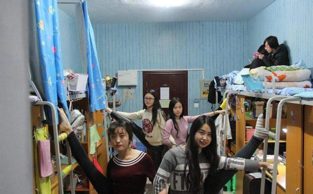 怎么拒绝室友在宿舍养猫,在寝室里养猫室友是一种什么反应