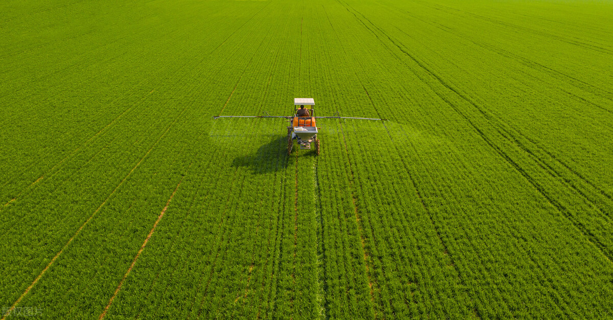 农业企业建高标准农田有补贴吗,2024年的农业农田补贴政策