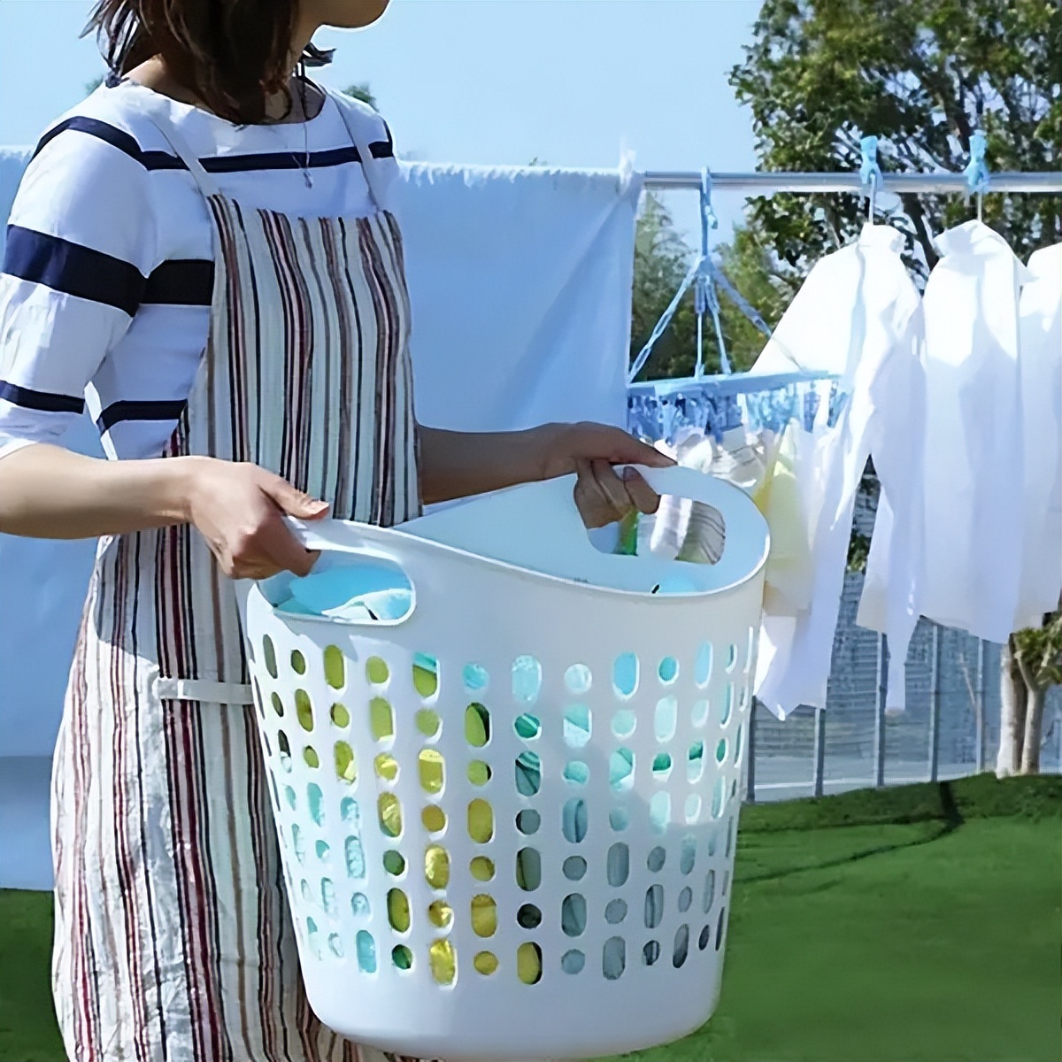 曾经无孔不入的虱子是怎么来的？为何如今很少看到了？