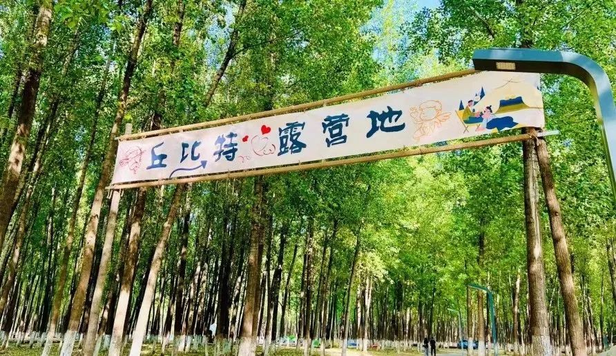 北京昌平免费露营地可以开车,昌平沙河露营地推荐烧烤