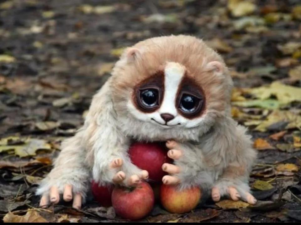 几种都要萌化人心的可爱动物,治愈系笑容照片动物