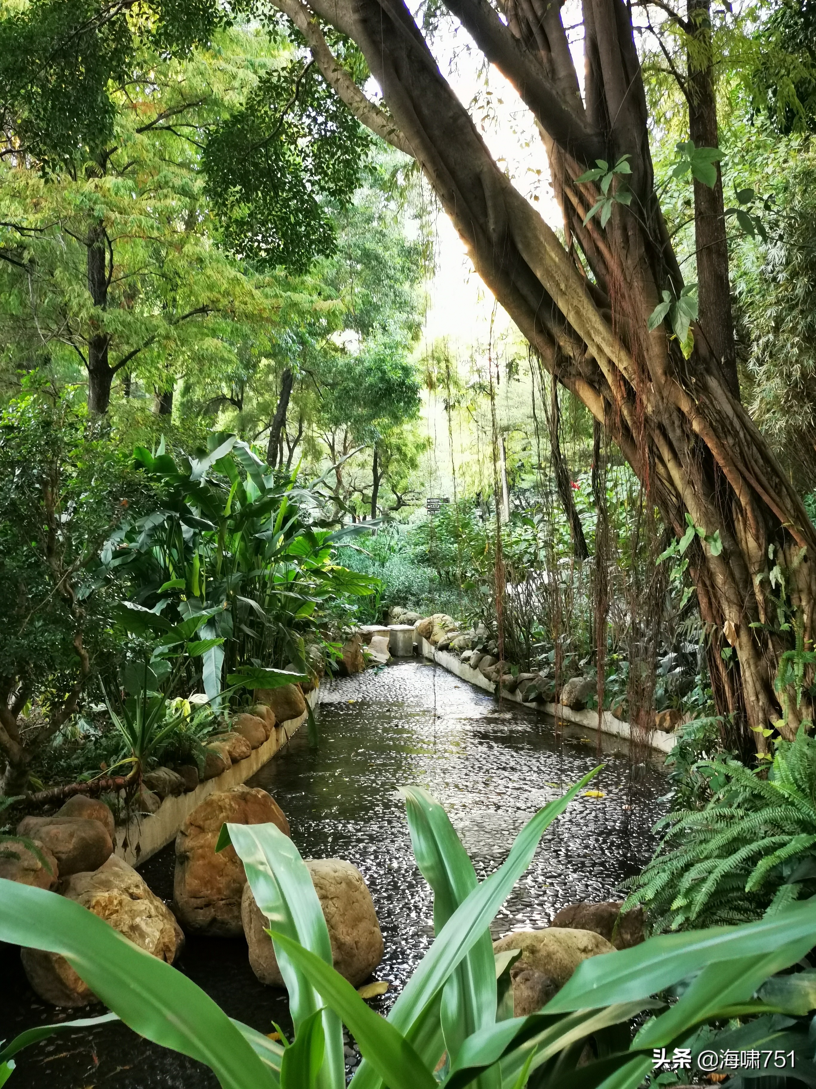 黄花岗公园开放时间,黄花岗公园停车