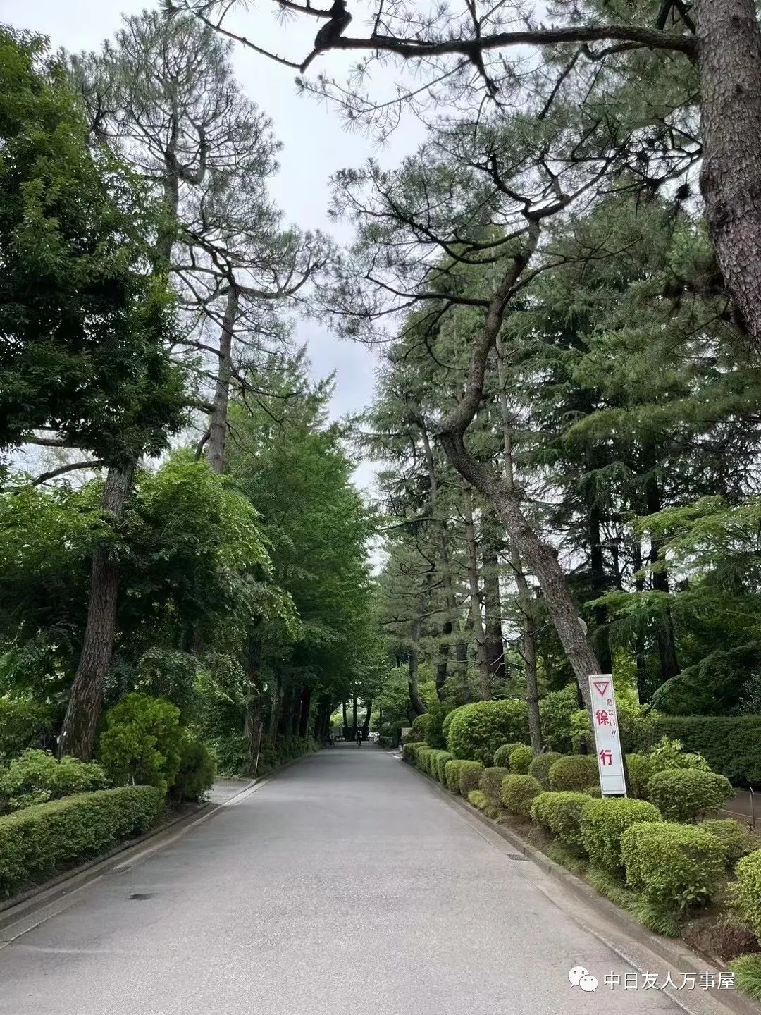 万事屋沙桑阔别三年之久的日本之旅