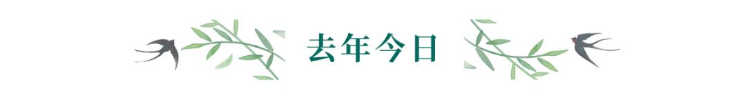 关于情人节的花式陷阱|冷段子2428去年今日2070