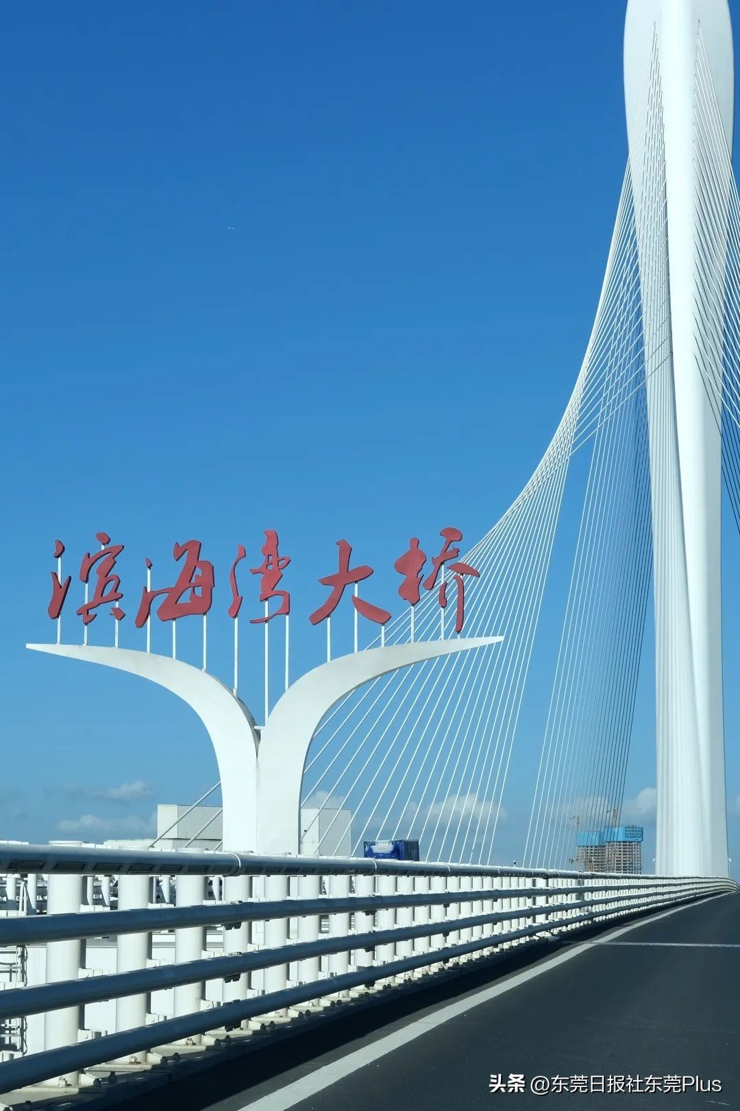 东莞可以看海和赏花的公园,东莞国庆看海游玩推荐