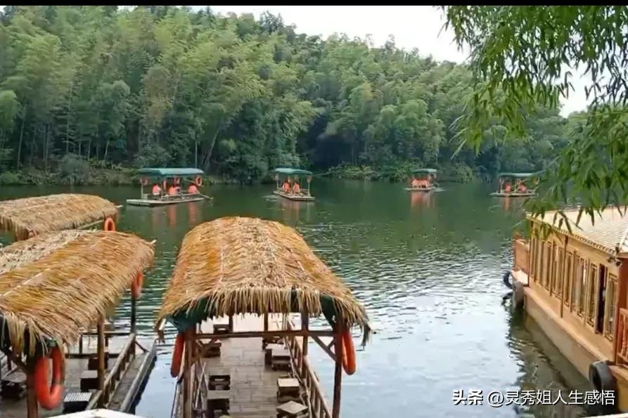 川南竹海,川南三大景点排名