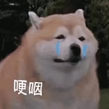 警惕电诈从你我做起,警惕电诈新宠可能就在你身边