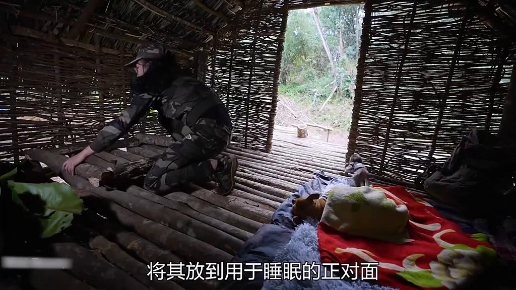 野外生存原始森林21天,荒野庇护所搭建狩猎小屋