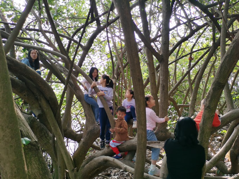 相约松山湖——i迪·野营车友会2023暮春茶话会